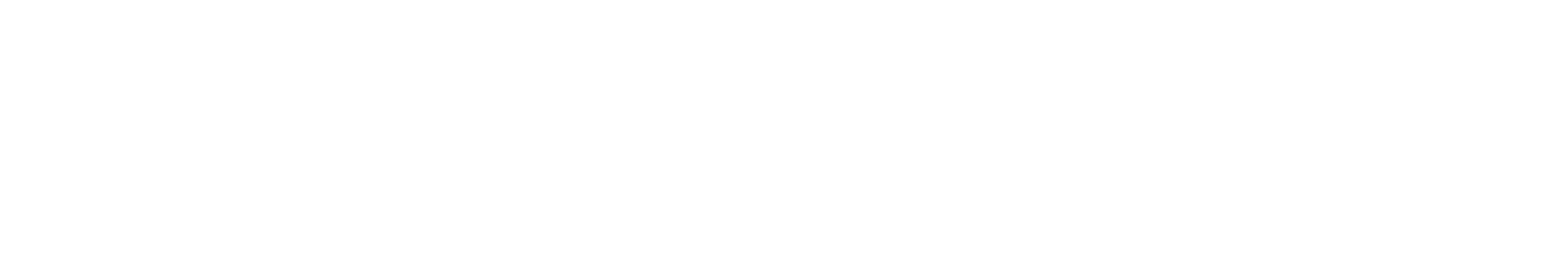 Evin Travels Logo